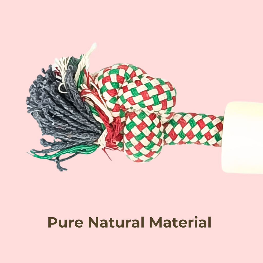 Rope & Bone Chew Stick Dog Toy – Durable Dental Toy