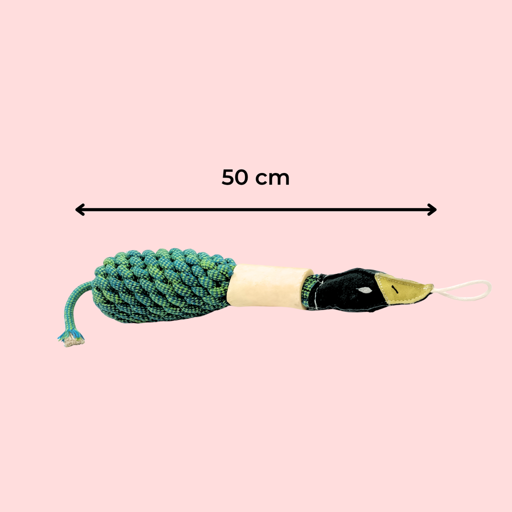Rope Duck Dog Toy with Natural Bone
