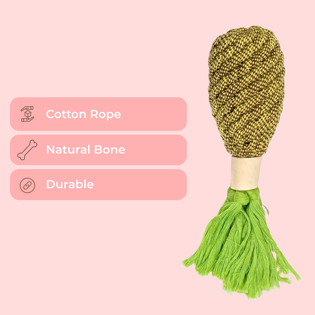 Natural Cotton Pineapple Rope Chew Toy